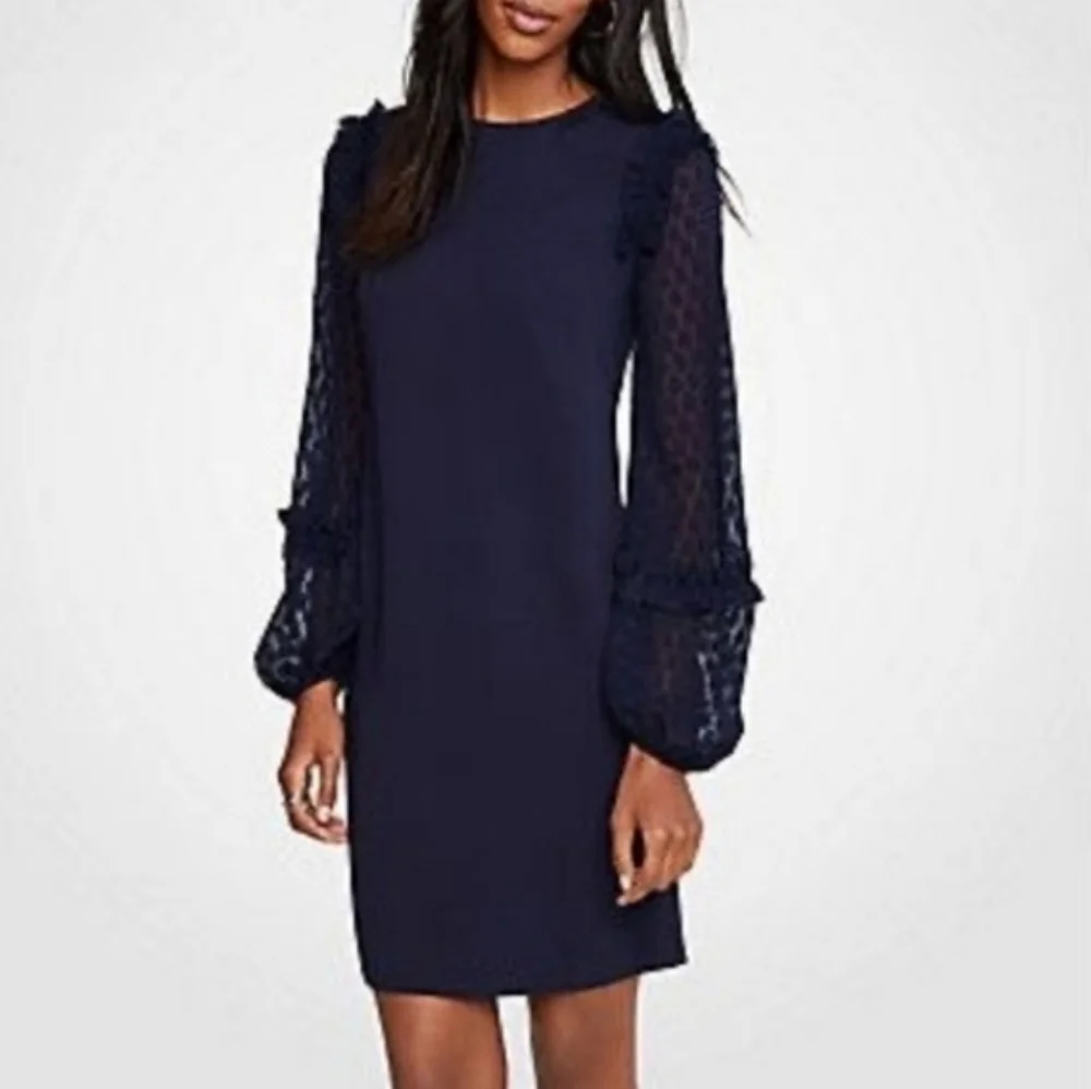 Ann Taylor Navy Blue Sheer Dot Shift Dress - Size 2